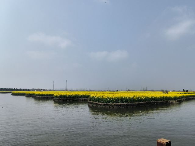 千垛景区旅行图片 2