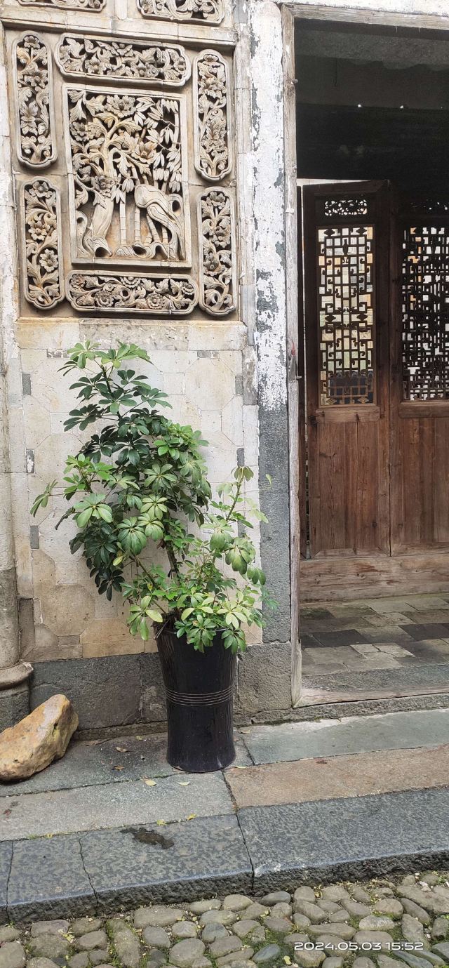 和平古镇旅行图片 2