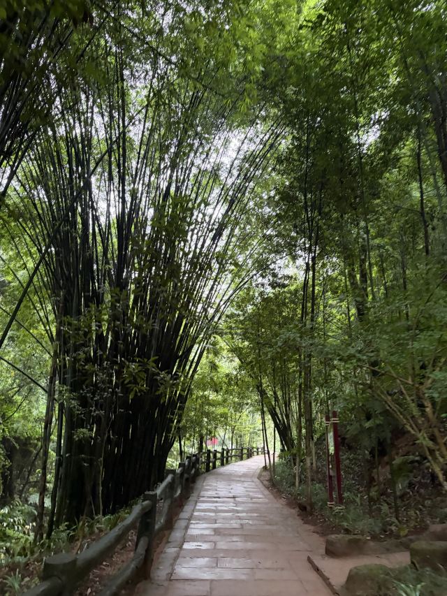 中岩寺景区旅行图片 1
