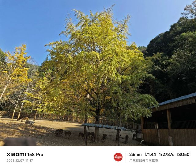 南雄帽子峰旅游景区旅行图片 7