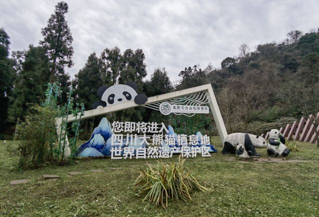 成都天台山旅游景区旅行图片 1
