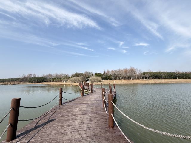 上海东滩湿地公园旅行图片 3