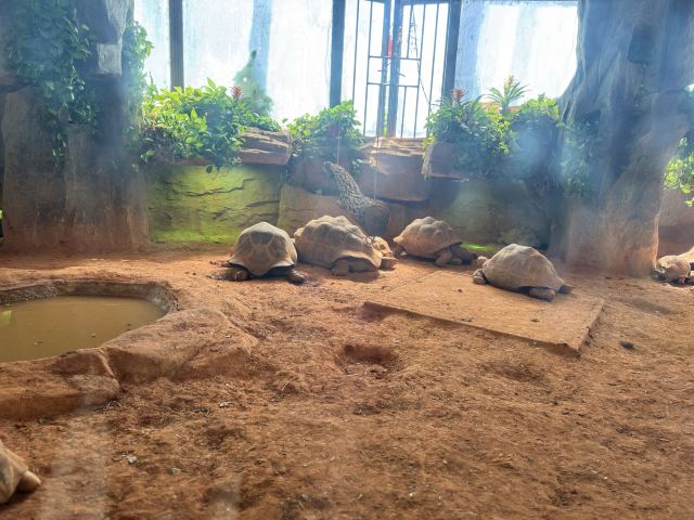 上海动物园旅行图片 8