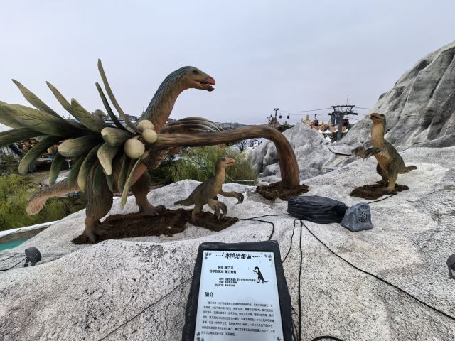 上海海昌海洋公园旅行图片 7