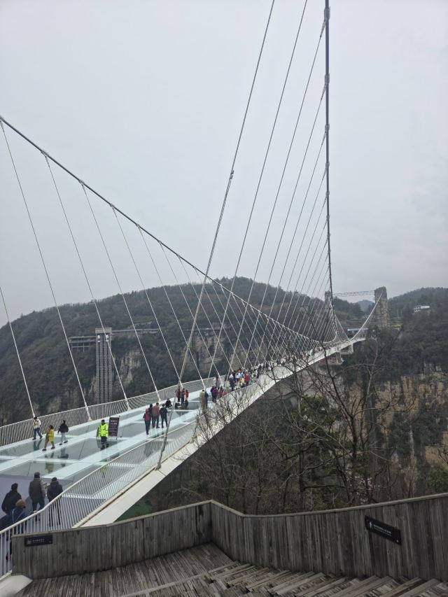 张家界大峡谷旅行图片 4