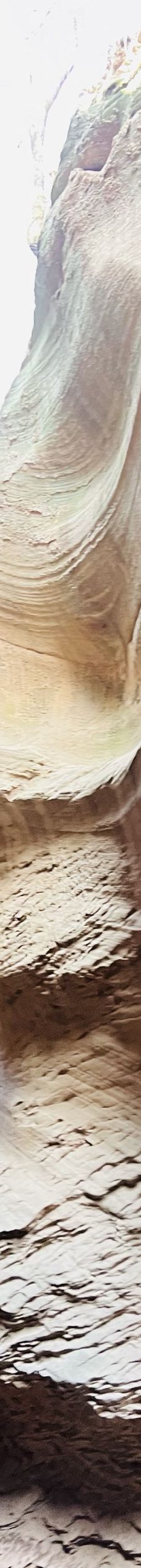 甘泉大峡谷-甘泉-有饭罪感的小骆驼