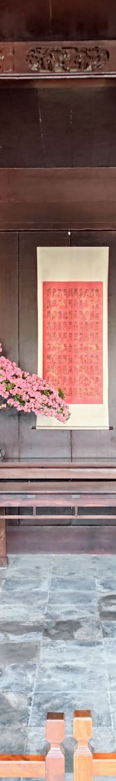 拙政园-苏州-YoYo_7S3Q1S4G