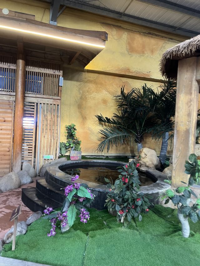 水师森林公园旅行图片 7