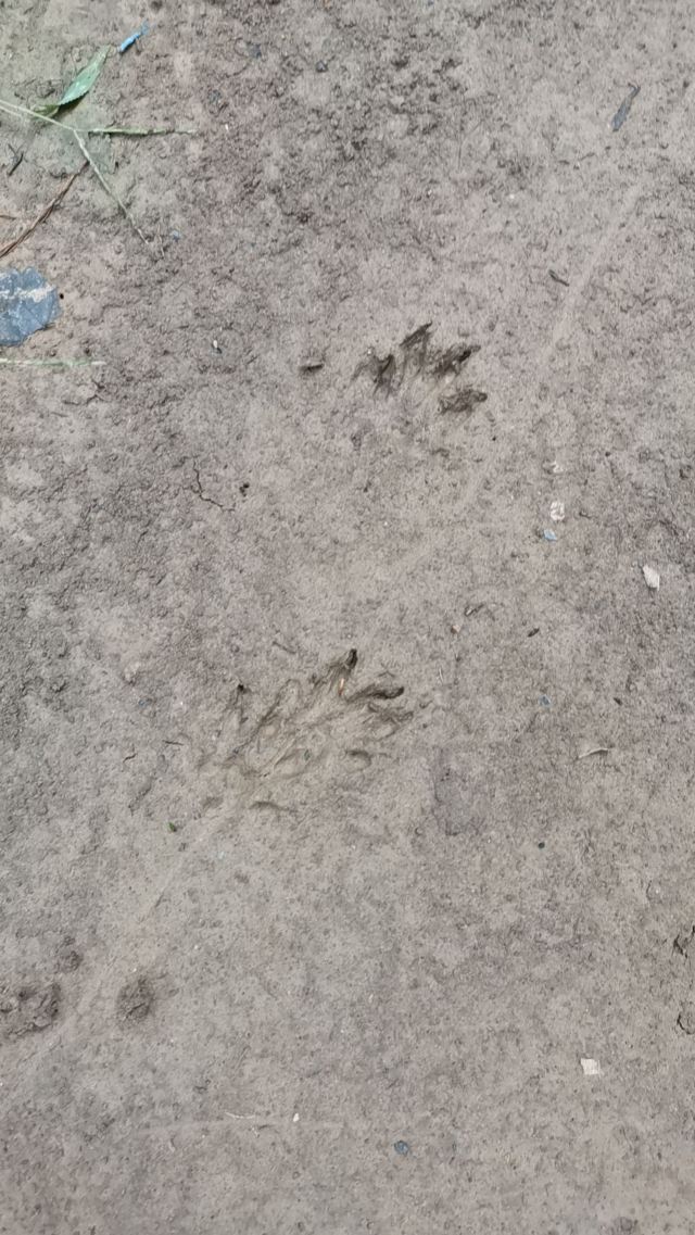 仪征捺山地质公园旅行图片 2