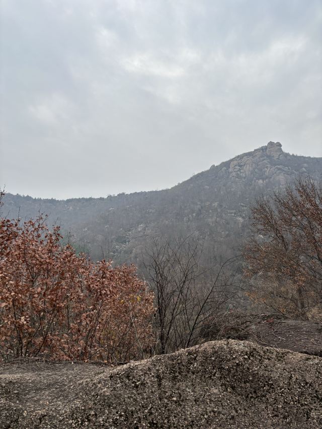 乌龙溪景区旅行图片 1