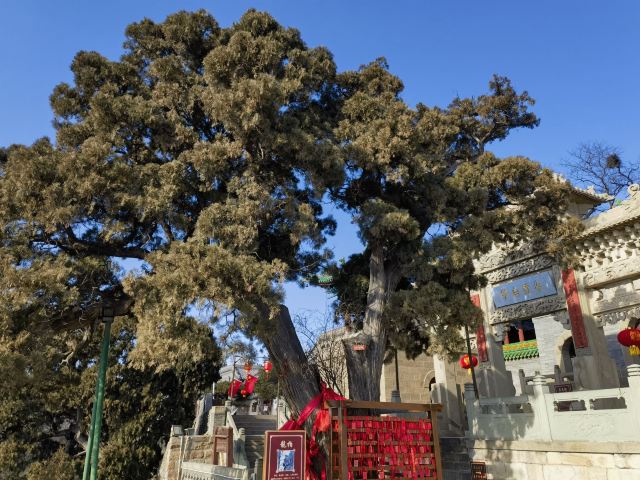 太原龙山景区旅行图片 4