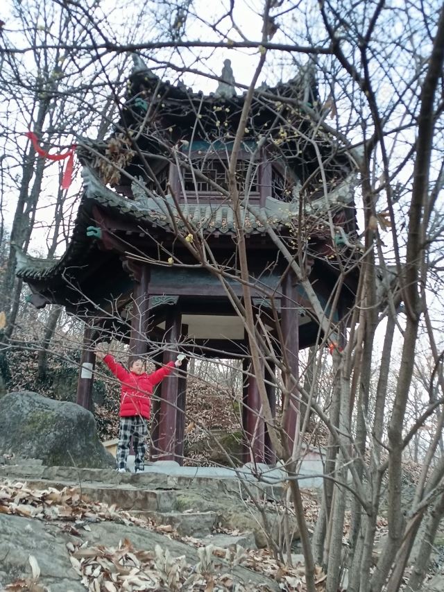 鹿门山旅行图片 1
