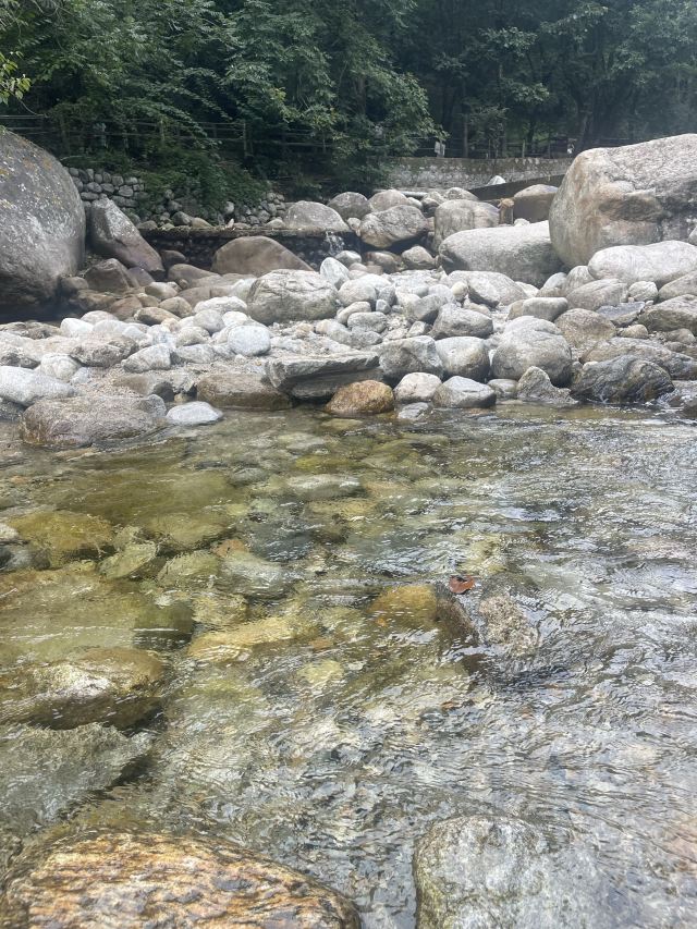 陕西省红河谷森林公园旅行图片 2