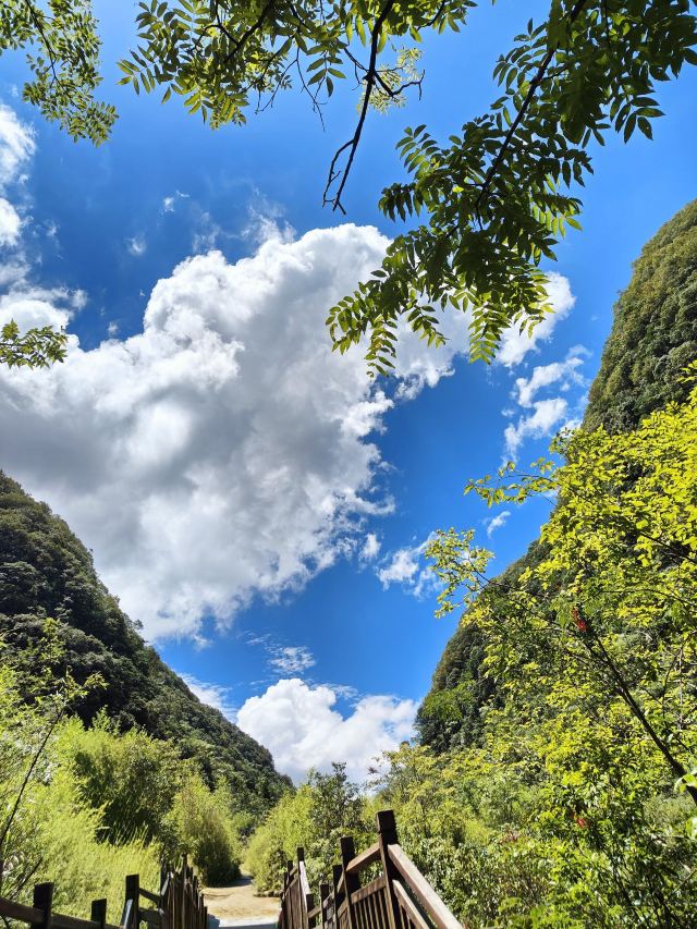 龙宫风景区旅行图片 4