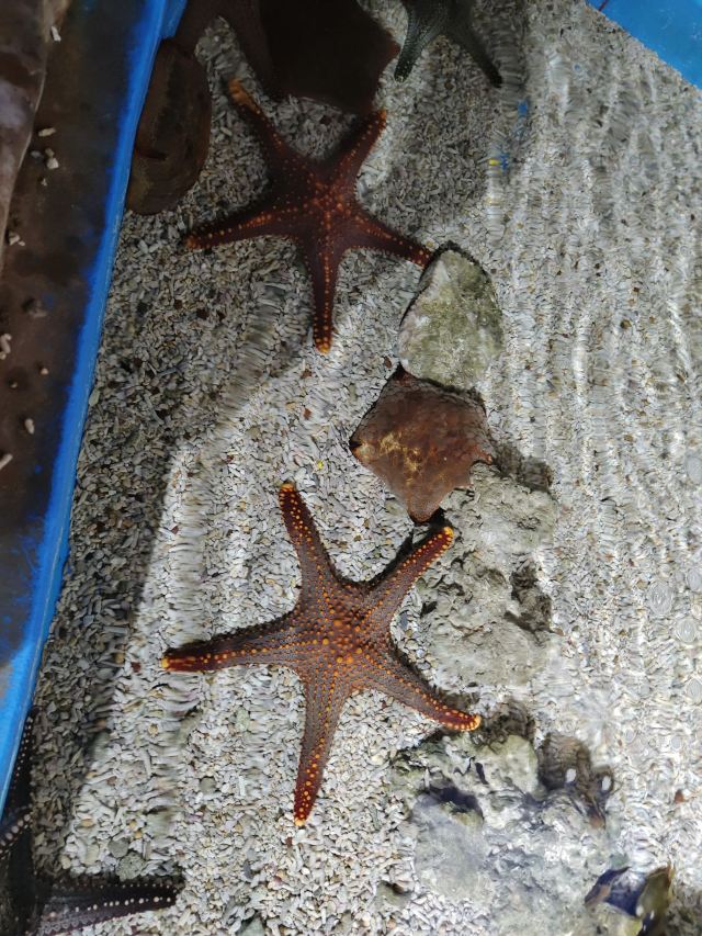 昆明海趣花都海洋世界旅行图片 3