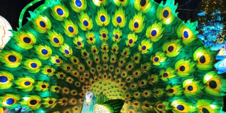 賈家莊動物王國