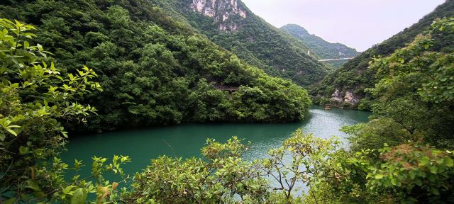 五龙河风景区旅行图片 3
