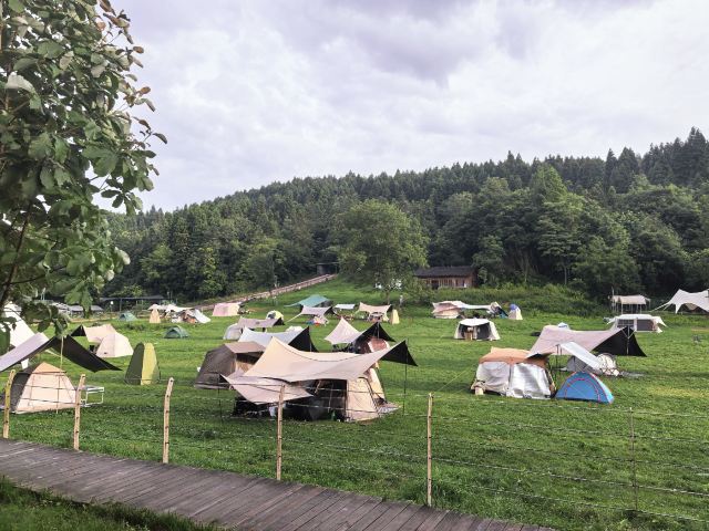 武陵山国家森林公园旅行图片 3