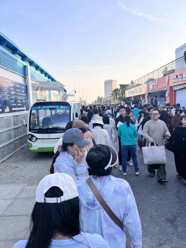 金山城市沙滩旅行图片 3