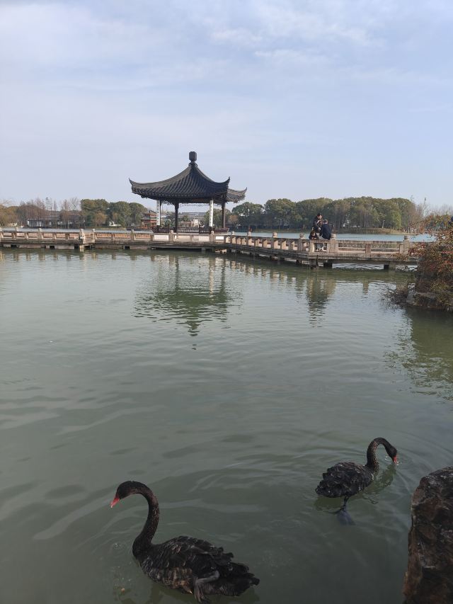 尚湖风景区旅行图片 2