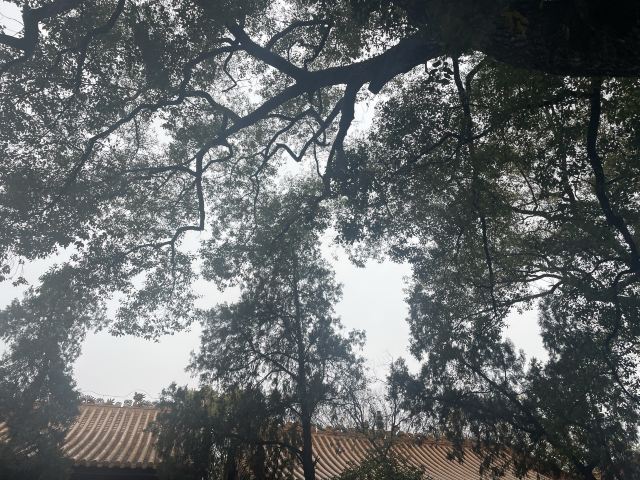 岳阳楼景区旅行图片 1