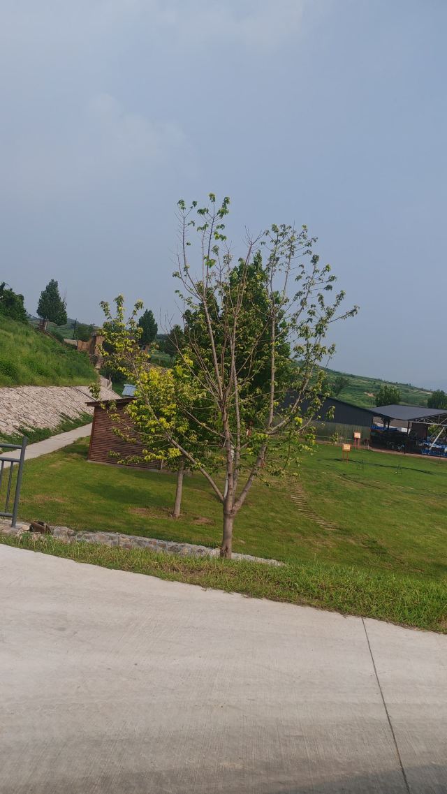 左右山谷亲子度假区(暂停开放)旅行图片 8