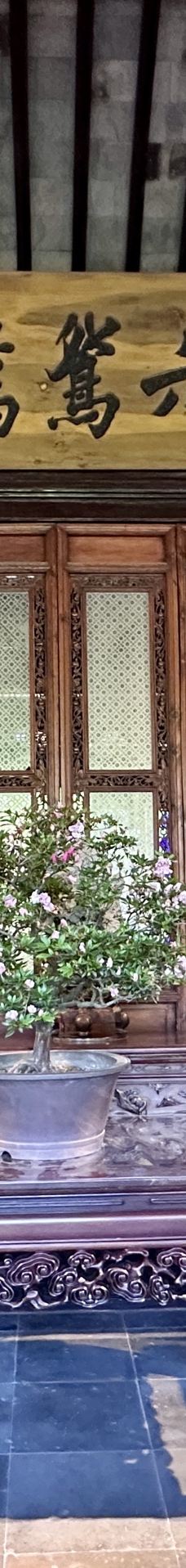 拙政园-苏州-zhxq～