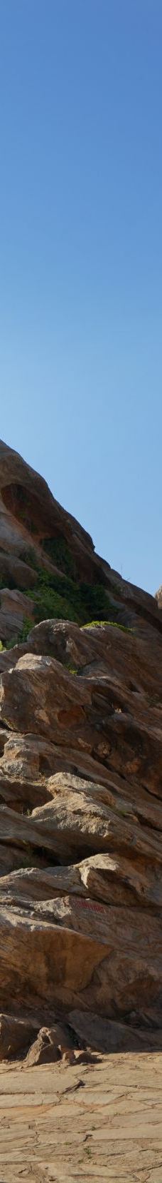 金石园-大连-YoYo_2L2K0W2P