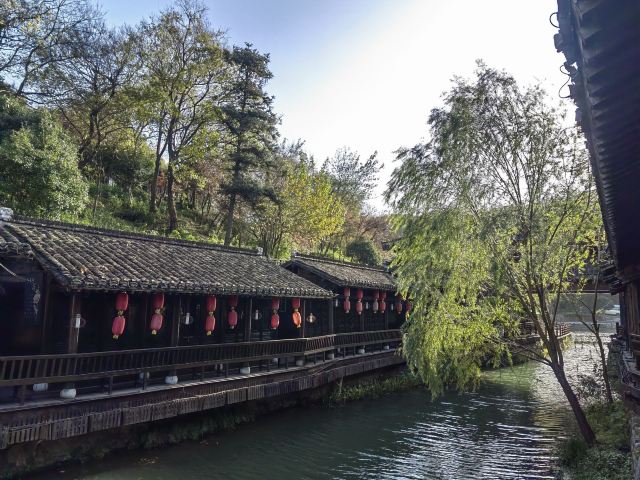宝华山国家森林公园旅行图片 4