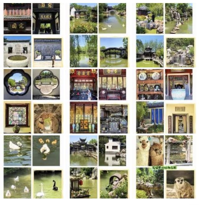 宛园旅行图片 1