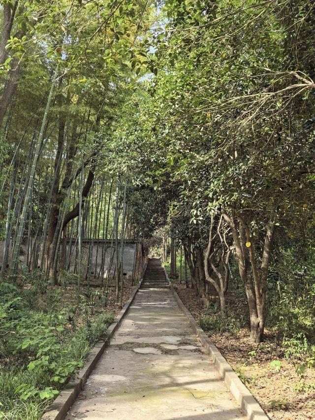 辽王墓旅行图片 6