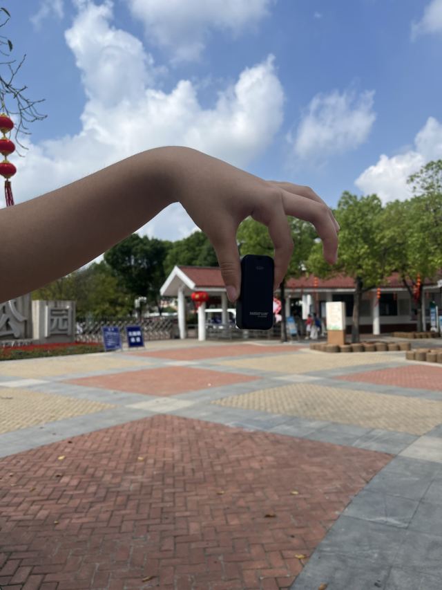 上海顾村公园旅行图片 1