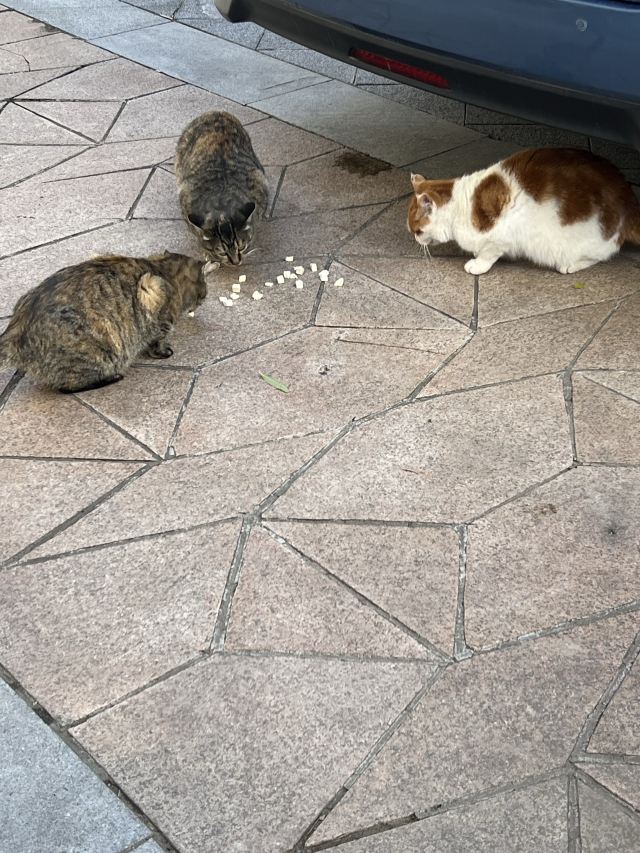 野鸭湖国家湿地公园旅行图片 1