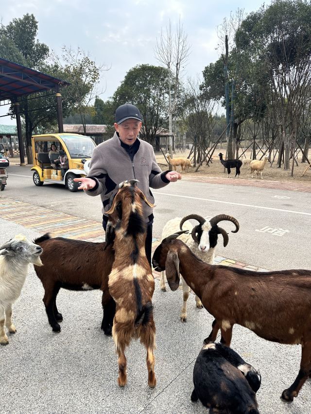 湖南常德野生动物世界旅行图片 1