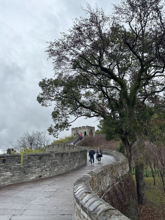 台州府城文化旅游区旅行图片 3