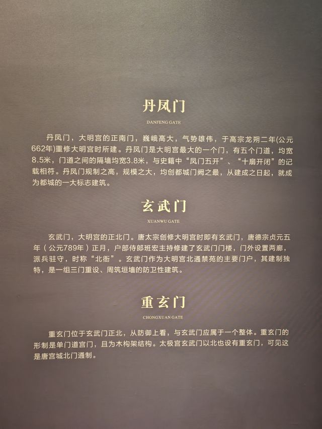 大明宫国家遗址公园旅行图片 4