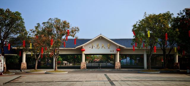 小鸟天堂旅行图片 1