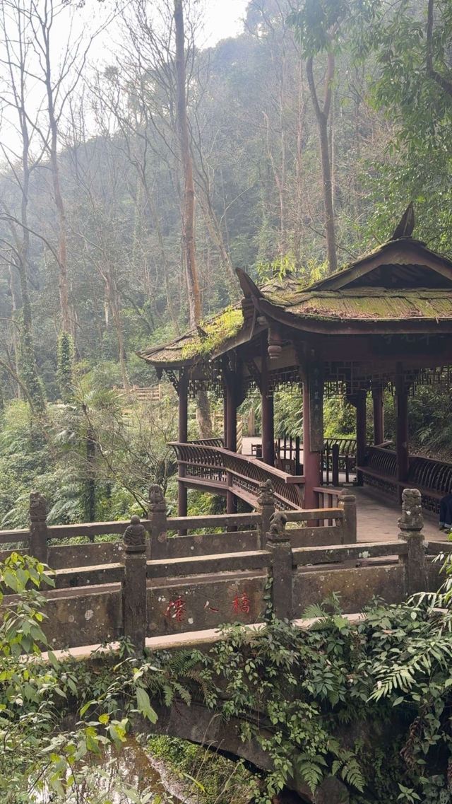 青城山景区旅行图片 8