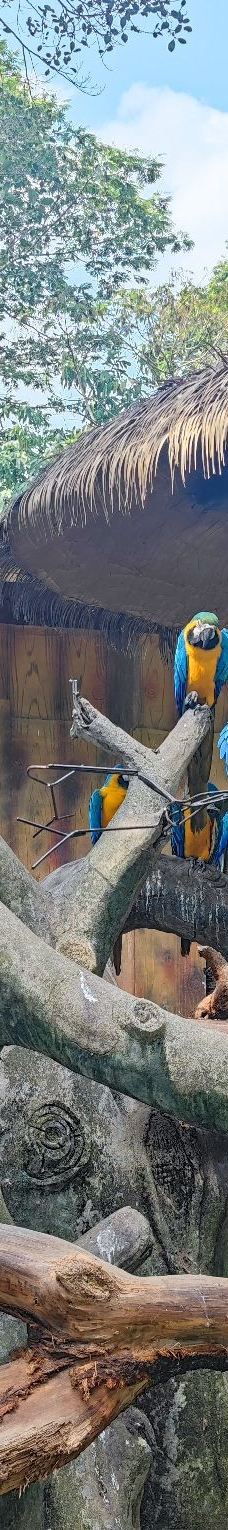 南宁动物园-南宁-斯莱特林内鬼