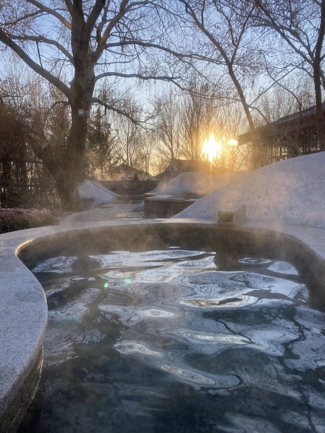 水师森林公园旅行图片 6