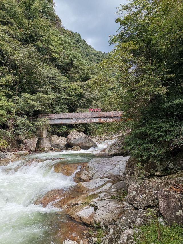 炎陵县神农谷国家森林公园旅行图片 5