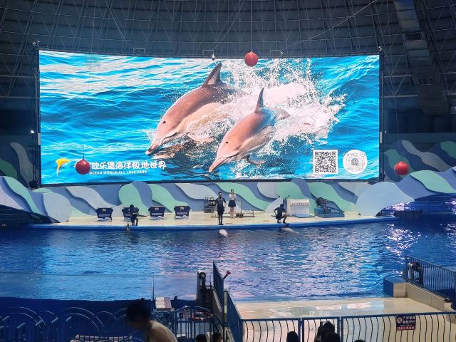 徐州欧乐堡海洋极地世界旅行图片 2