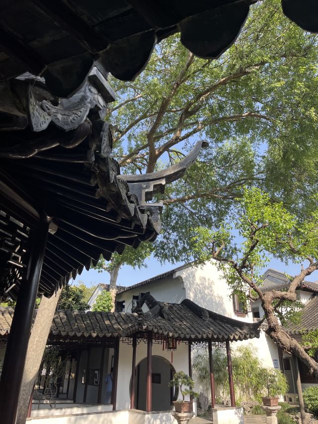 怡园旅行图片 6