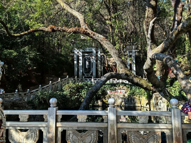 蝴蝶泉旅行图片 4