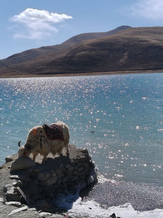 嘉峪关白鹿仓(关城里)十二生肖广场旅行图片 7