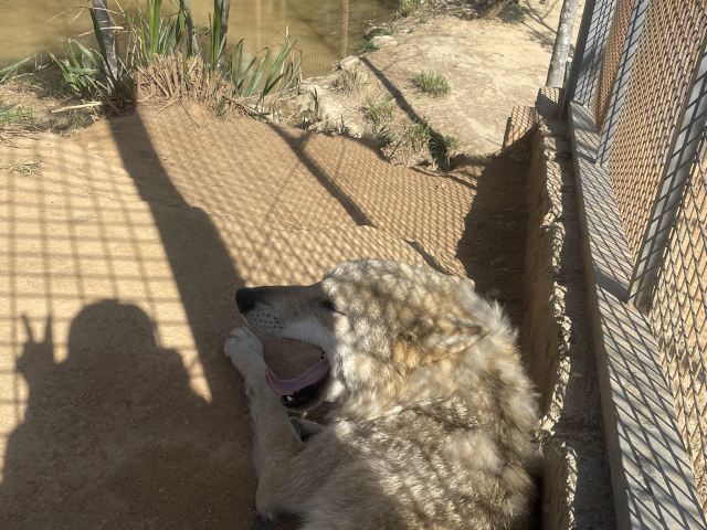江西野狼谷景区旅行图片 2