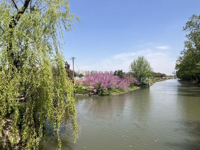 上海南汇桃花村旅行图片 6
