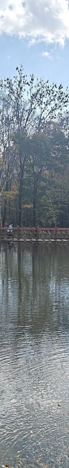 铧子山森林公园-通河-YoYo_0Z9T7U6N