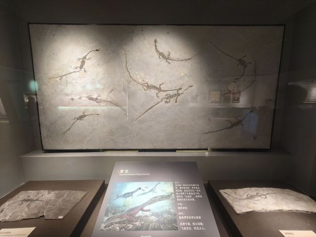 朝阳化石谷旅行图片 3