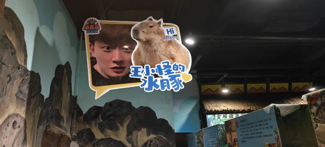 海蓝星梦幻城旅行图片 2